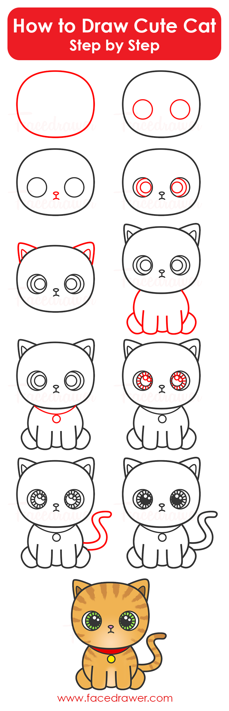 how to draw cute cat step by step infographic | Facedrawer