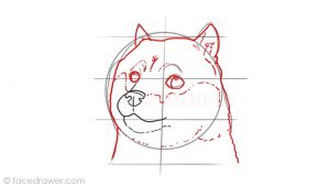 how-to-draw-doge-meme-step-5